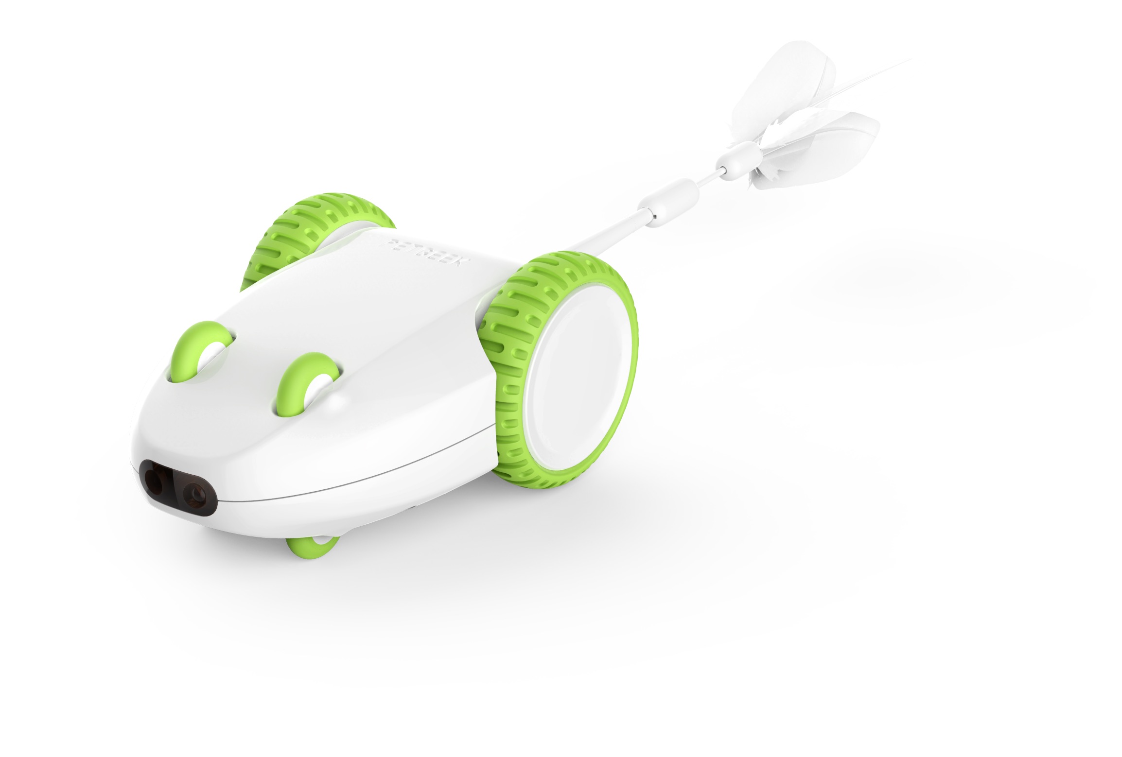 Furious Mouse by Pet Geek
