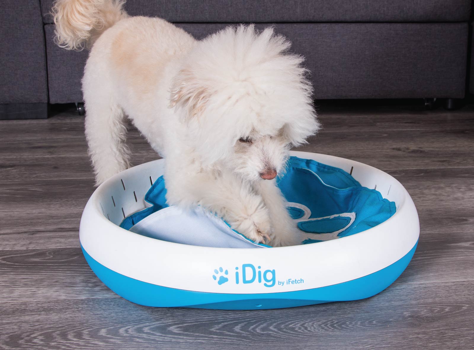 Dog Enrichment Toy