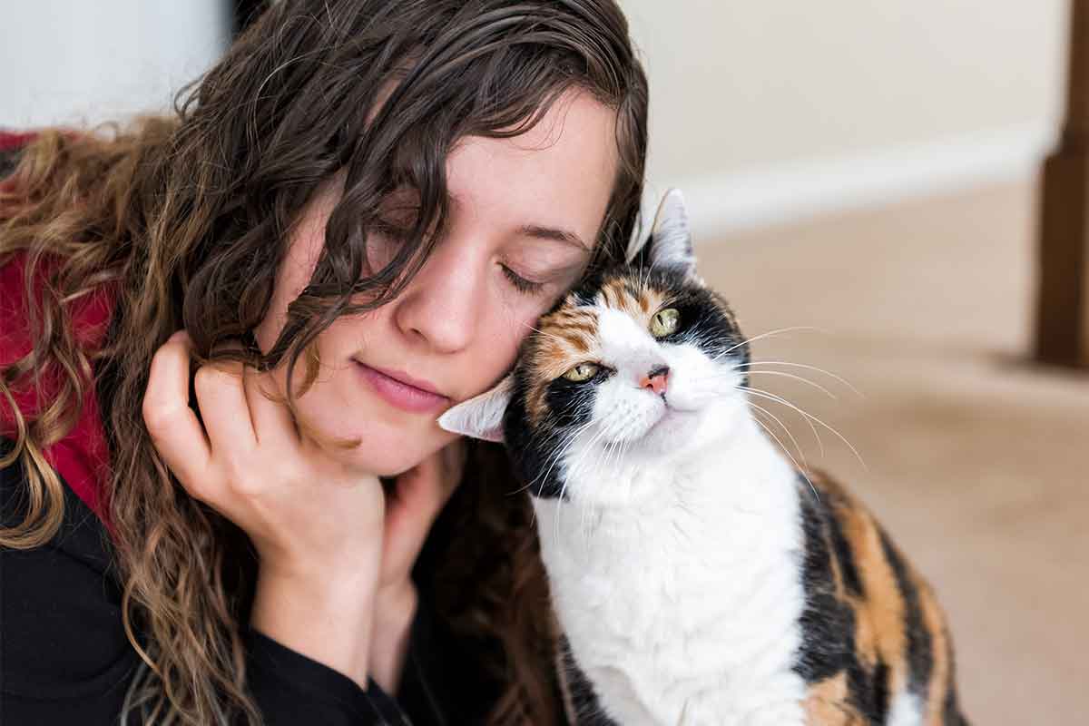 Squelch The Squirt: Why Spraying Water Doesn't Work To Train Your Cat