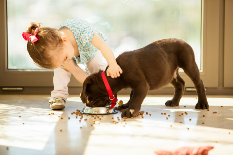 Dog Bites: 6 Ways to Prevent Them | Fear Free Happy Homes