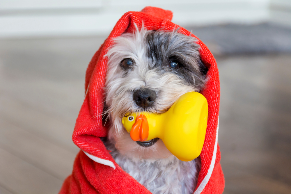 Taking The Blues Out Of Doggie Bath Time