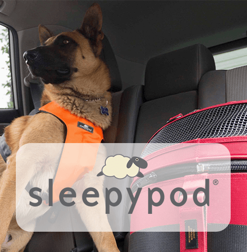 Sleepypod Clickit Sport Dog Car Harness Review: Great Crash-Tested