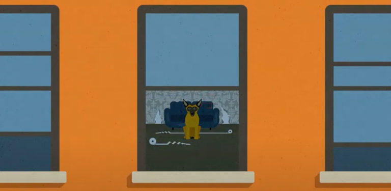 Fear Free Happy Homes For Pets