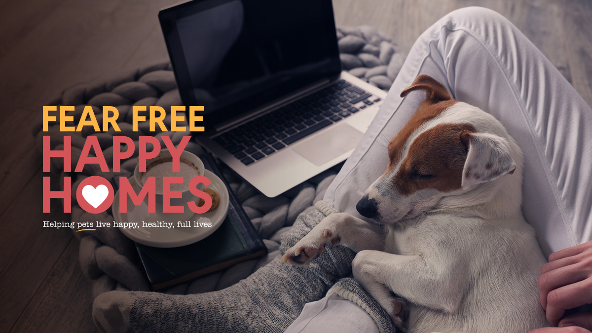 Pets for homes deals