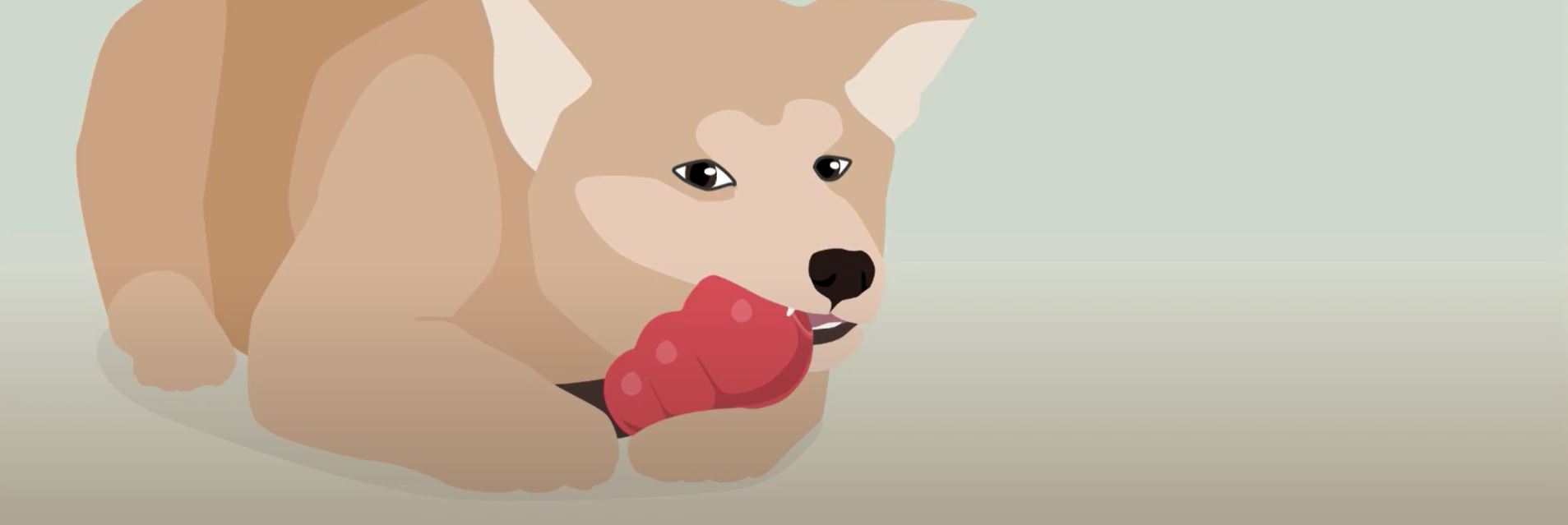 Barker Animal Hospital