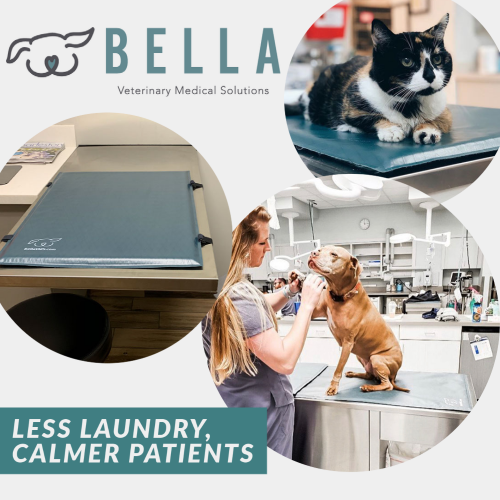 Bella Veterinary Medical Solutions, Less Laundry Calmer Patients