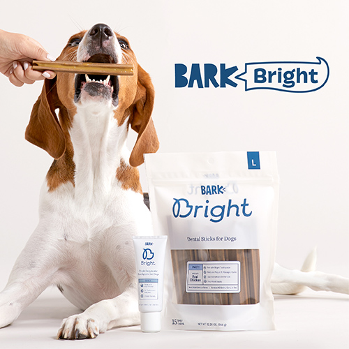 Bark Bright