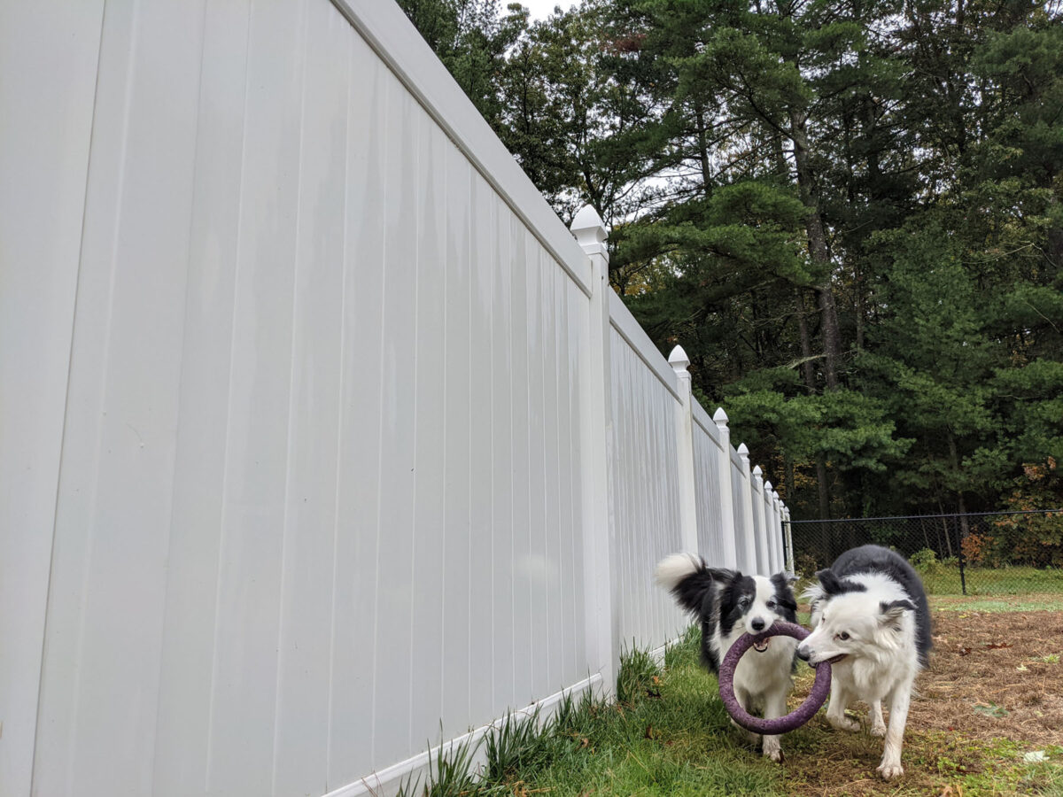 Why You Shouldn't Use an In-Ground Fence System