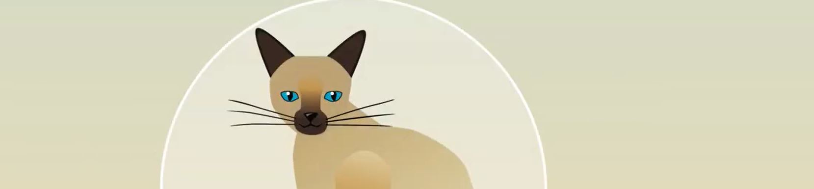 Barker Animal Hospital