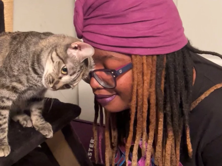 Teach Cats to Communicate by Pushing Your Buttonsin a Good Way