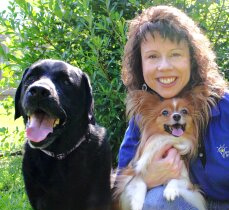Size Matters! How to Safely Introduce Big and Little Dogs