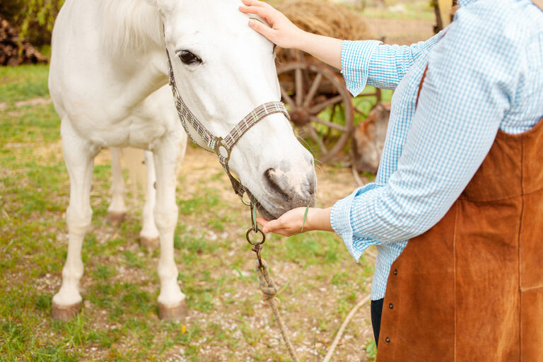 Giving Your Horse Oral Medication Fear Free Happy Homes
