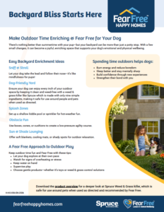 Screenshot of downloadable handout for backyard enrichment ideas